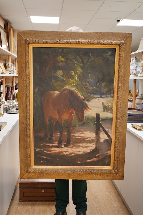 B C Pode, study of a horse, signed, oil on canvas, 90 x 60cm